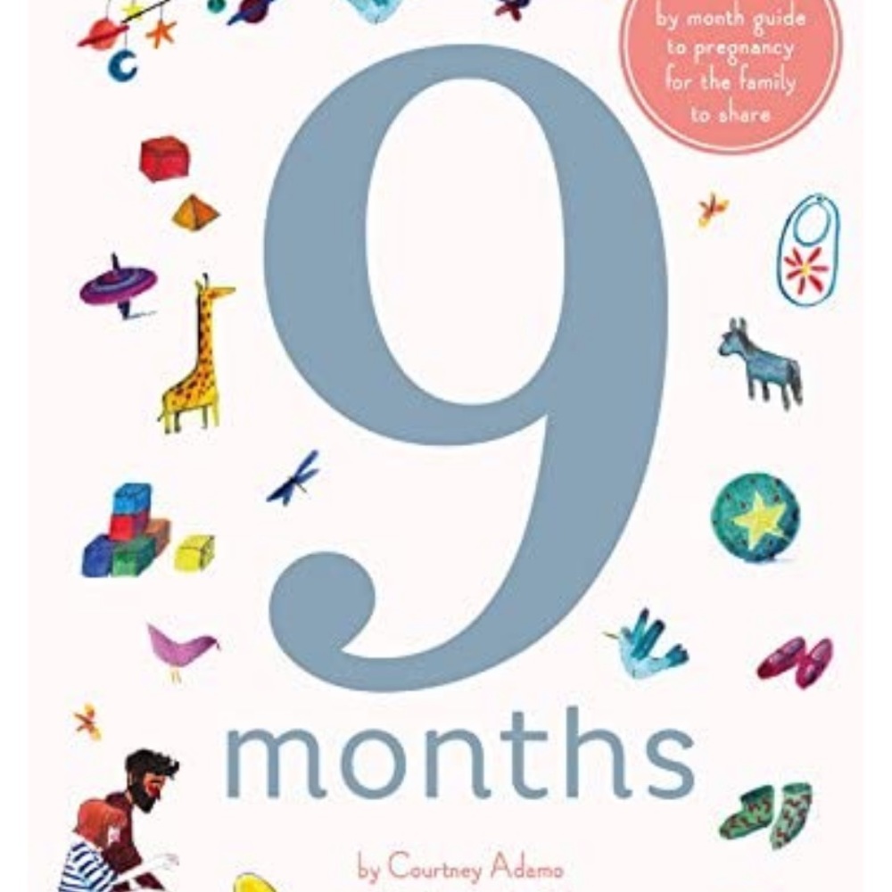 9 Months: A Month by Month Guide to Pregnancy for the Family to Share